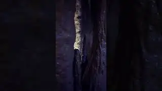 Inside a Man-made Cave #shorts #manmade #cave