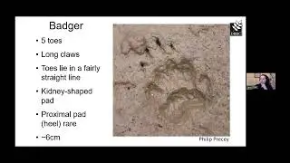 Tracks & Signs talk by Devon Wildlife Trust