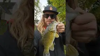 Bitsys Get The Biggies. #bassfishing #smallmouth #strikeking
