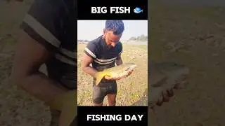 Big Fish Caught 😲 | #shorts #fishing #youtube