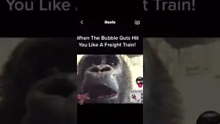 🤣😂🤣 wild animals #wild #wildlife #lmao #lol #funny #health #diet #gym