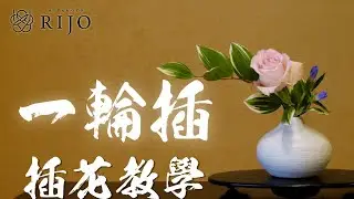 插花教學｜花藝課程｜一輪插插花教學 簡單易懂的插花教學 日本花道 花藝