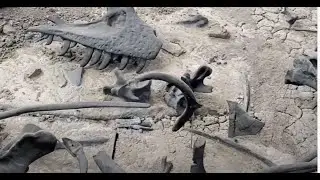 Jurassic National Monument: The Bones