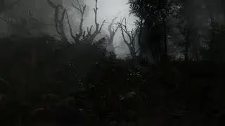 Dark Vale Forest