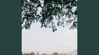 Flow