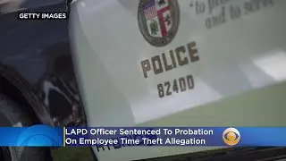 LAPD Officer Sentenced To Probation On Employee Time Theft Allegation