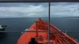Arctic Princess - TRBA