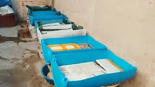 Diferentes sistemas de lombricultura urbana