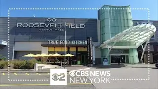 Recent incidents at Roosevelt Field Mall spark safety concerns