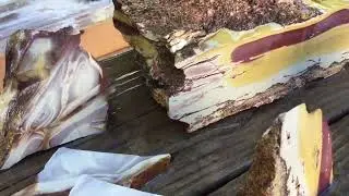 Looking at Rocks - Siltstone and Mudstones Overload