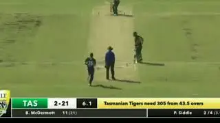 TAS vs VIC ALEX DOOLAN unbelievable Bowled by Siddle
