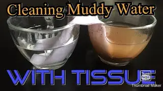 How to Make Clean Water from Dirty Water || Science Experiments