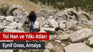 Tol Han, Eynif Ovası, Yılkı Atları, Mini Belgesel