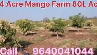 80 #lacks #mango #farm #land #for #sale nimz #telangana #agriculture #garden #house #home 9640041044