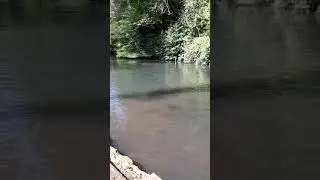 Nine Springs Vid 8 Tedgers Ramble