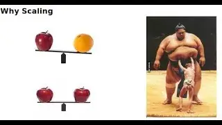 Data Scaling and Validation for Multi-linear Regression| Machine Learning بالعربي