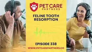 EP 338: Feline Tooth Resorption &ndash; The Hidden Pain in Cat Mouths | Pet Care Partners Podcast