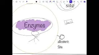 Pharmaceutical chemistry(Antimetabolites) عضوية وزاري مرحلة رابعة
