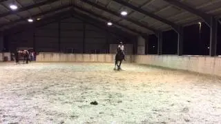 Everhard (Erik-T x Nabuur x Legaat) appuyement naar rechts