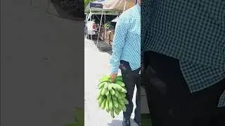 #Burro #Bananas Are the best #DrSebi #miamifoods7 #miamifoodblogger #goodvibes