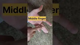 Hand Parts Vocabulary Explained with Real Demo | Palm, Fingers, Thumb & Wrist #LearnEnglish #ESL
