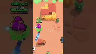 Rank 30 brock guide