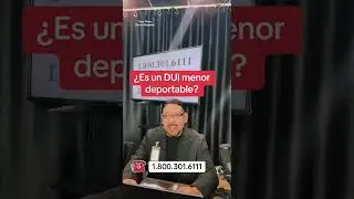 &iquest;Es un DUI menor deportable?
