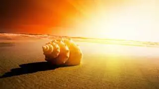 Clubbticket - Sunshine (Supremos P. Edit)