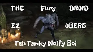 The Tanky Boi - Budget Fury Druid Diablo 2 Resurrected Build