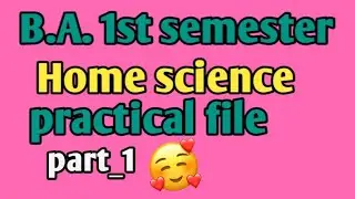 B.A1 st semester Home Science ki practical file / B.A. practical file for all university/File making