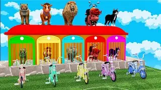 Long Slide Game With Cow Elephant Gorilla Hippopotamus Tiger - 3d Animal Game - Funny 3d Animals
