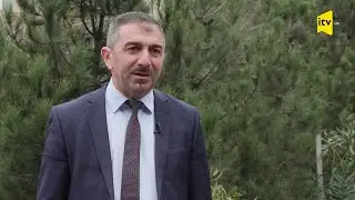 Şam ağacı möcüzəsi