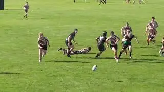 Ōrewa College (5) vs. Westlake Boys High School 2nd XV (41) - 1st Half, Round 10, 2024