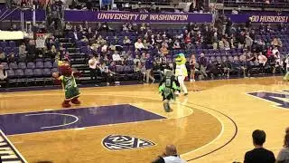 Seattle Sports mascots play basketball at half-time today