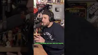 Full Reptile Radio is back! #shorts #jakepaul #francisngannou #pfl #ufc