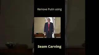 Removing Putin using Seam Carving