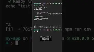 This Simple Terminal Shortcut Will Change How You MultiTask  #coding #programming #terminal