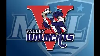 Top 10 Valley Wildcats goals 2022/23