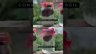How water reacts in Regenerative Soil