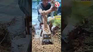 Peanuts | Tools for Peanut Escape