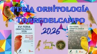 Feria ornitológica Villa de Torredelcampo 2026