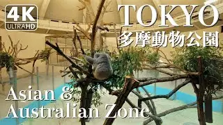 【4K】Tama Zoological Park Part3, Asian & Australian Zone（Binaural Tokyo Sounds）