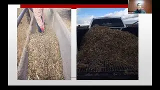 Early Weaning Calves: Management, Nutrition and Profitability