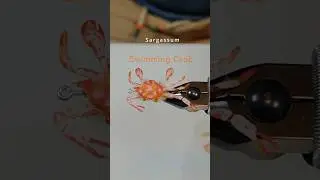 Sargasso Crab #fishing #fish #flyfishing #flytying #pesca #pescaconmosca