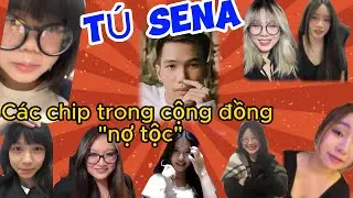 👉👉T&uacute; Sena - Tổng hợp c&aacute;c b&eacute; g&aacute;i trong SBCB