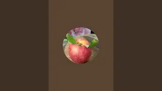 #homegardening, #gardeningtips, #gardeninspiration, #gardeninglife, #plantcare, #containergardening