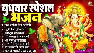 बुधवार स्पेशल भजन : ॐ गं गणपतये नमो नमः, वक्रतुंड महाकाय, सुखकर्ता दुखहर्ता, गणेश अमृतवाणी व आरती