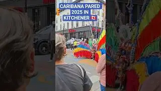 A full display of Caribbean culture, from music to incredible costumes.#canada #carnival #caribana