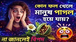 কোন ফল খেলে মানুষ পাগল হয়ে যায়❓Which fruit makes people crazy❓ Quiz Klass । Gk Quiz bangla
