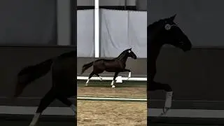 Horse phonk 🔛🔝 #entertainment #edit #music #phonk #fyp #shorts #horse #animals #viralvideo